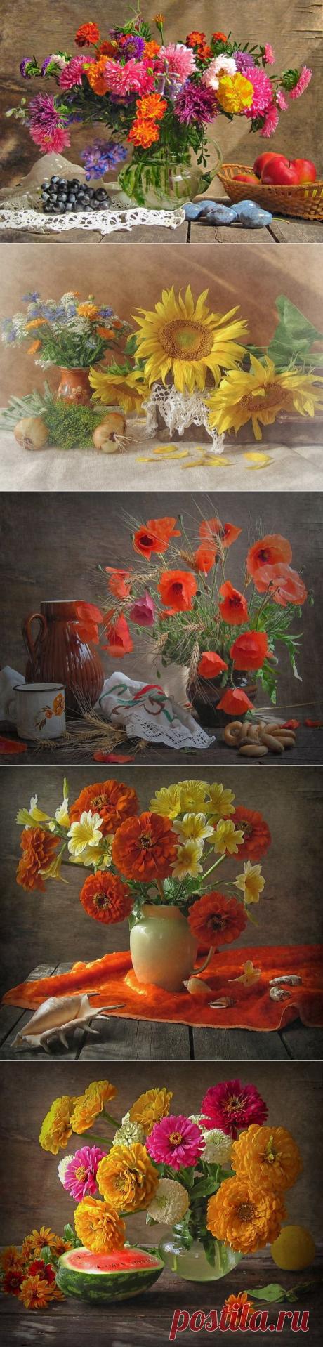 Фотограф Ирина Дубовая..