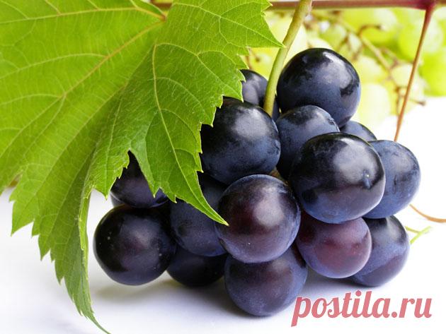Варенье из винограда - рецепты, как приготовить виноградное варенье на зиму