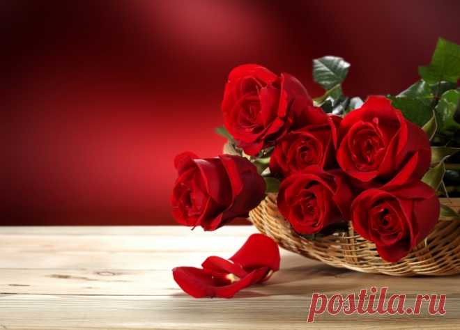 Обои на рабочий стол Цветы:Nature, Flowers, Flower, Red, Roses - . | Обои-на-стол.com
