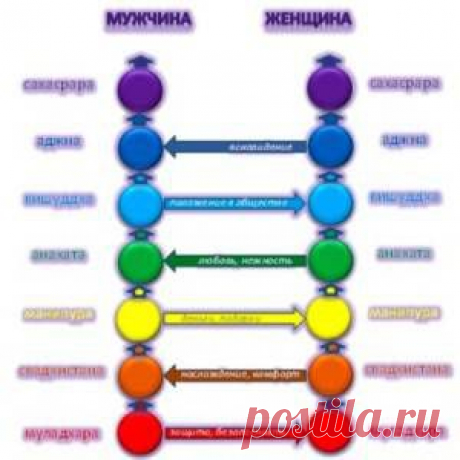 Секреты семейного счастья и 7 чакр