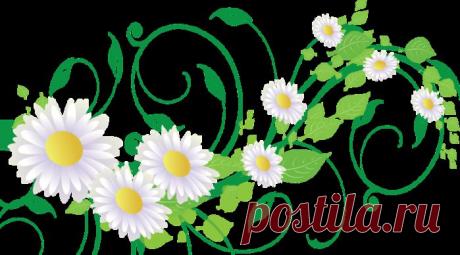 Женщина слаще жизни и горше смерти (Соломон).