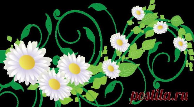 Женщина слаще жизни и горше смерти (Соломон).