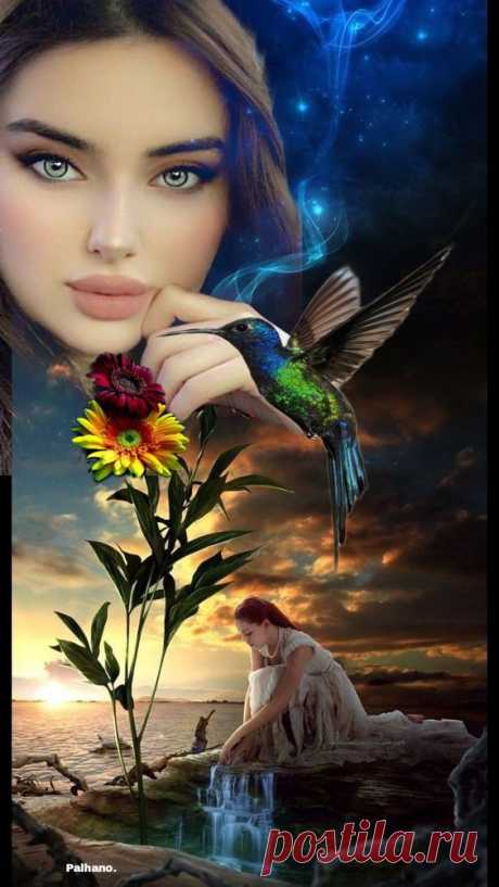 (2231) Pinterest
