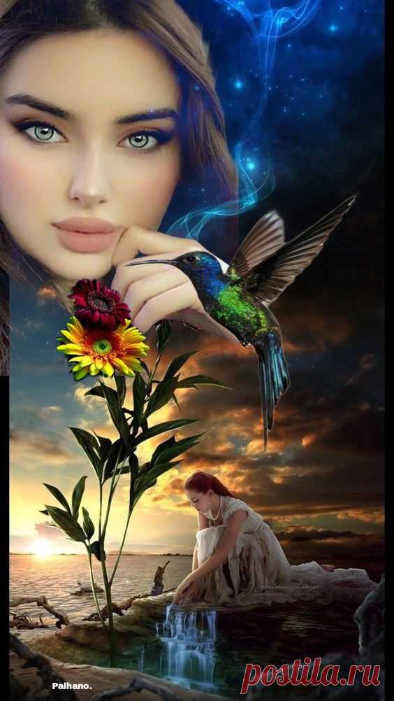 (2231) Pinterest