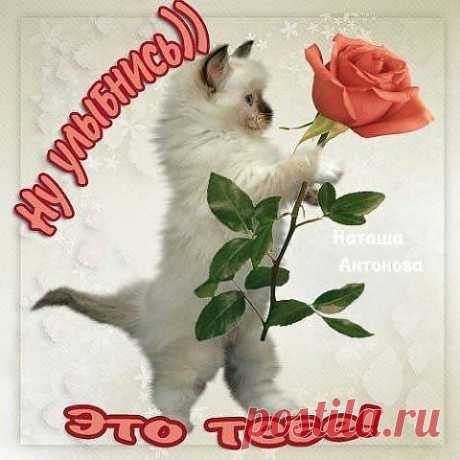 ᴼᴿᴵᴳᴵᴺᴬᴸ   SМАЙЛИКИ   (ړײ)