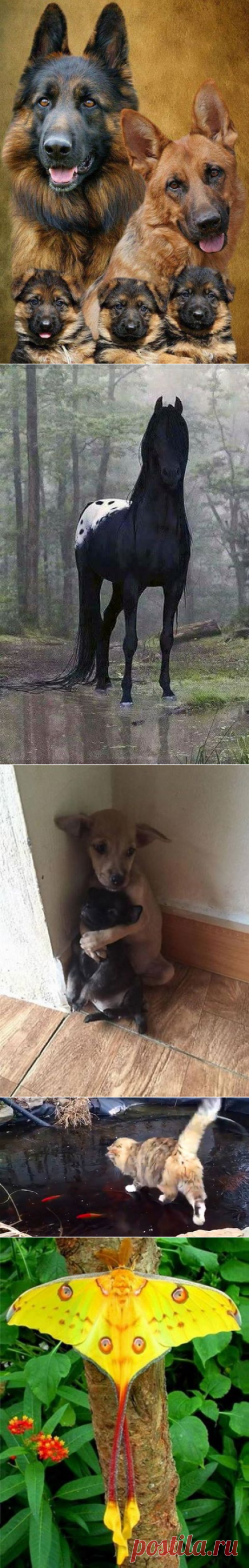 (1) Facebook