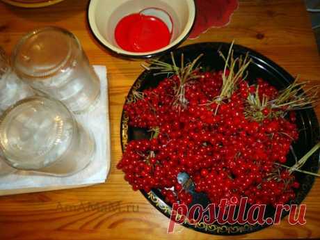 Калина на зиму (в сахаре)