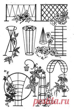 красивые опоры для плетистых роз - Поиск в Google