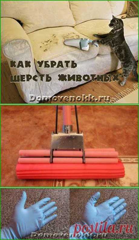 Как убрать шерсть животных