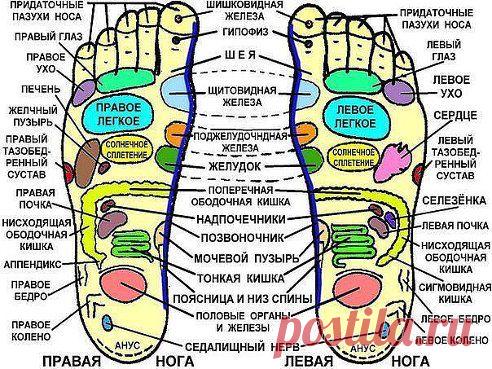 Прямо хоть переписывай!
Степан R