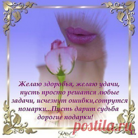 Пожелания