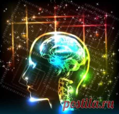Топ 5 сайтов, развивающие интеллект - Successfulperson.ru