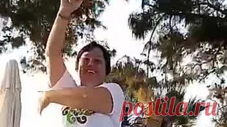 VID-20210203-WA0039.mp4