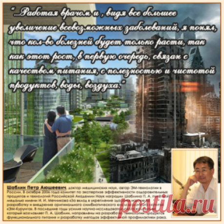 Плодородная почва, как повысить гумус, органическое земледелие: https://zemelplod.ru/