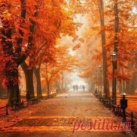 Omigu » Orange Autumn – Krackow, Poland