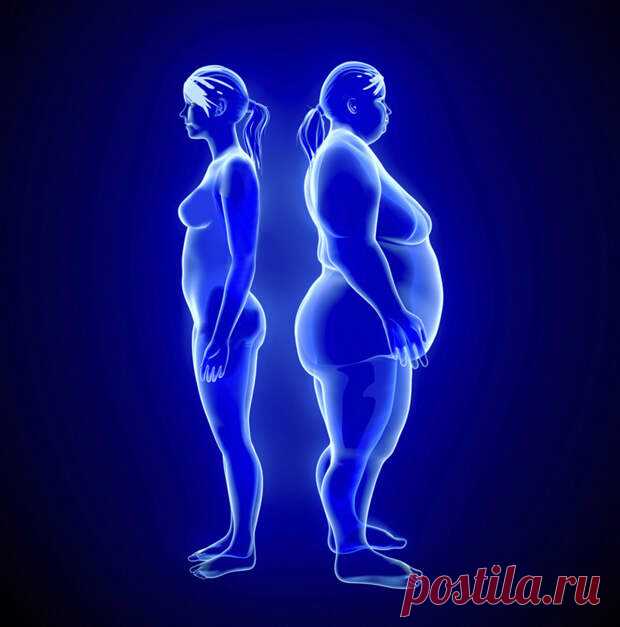 Что делать при нарушении обмена веществ
На развитие метаболического синдрома оказывают влияние генетическая предрасположенность, возраст, рацион, образ жизни, двигательная активность. Если в семье у кого-то имеется склонность накапливать жир в области талии, то нужно принять серьезные меры для предотвращения риска развития метаболического синдрома.          Массовой проблемой населения Земного...
Читай пост далее на сайте. Жми ⏫ссылку выше