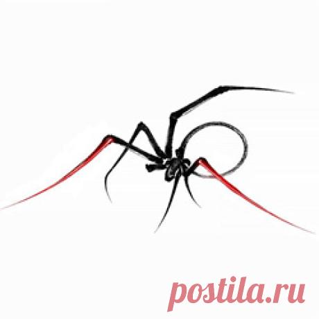 XPQ-21 - Little Spider (EP) (2026) 320kbps / FLAC