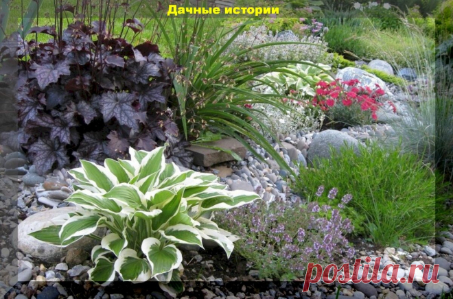 Райский уголок. Очень красивая дача в Подмосковье у подписчиков нашего канала | Дачные истории | Яндекс Дзен