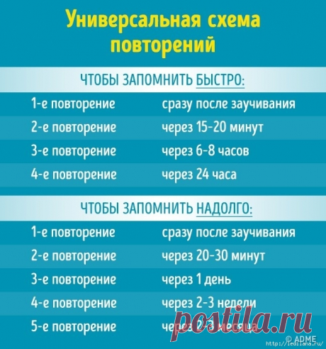 Как помнить все