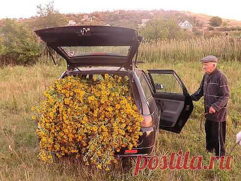 Одноклассники