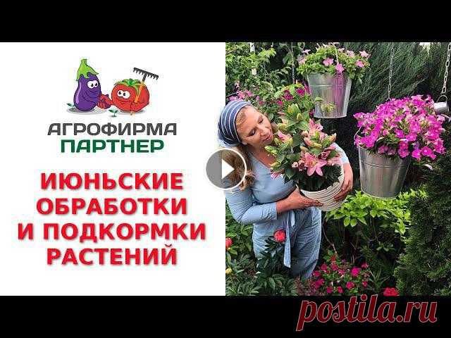 ИЮНЬСКИЕ ОБРАБОТКИ И ПОДКОРМКИ РАСТЕНИЙ УДОБРЕНИЕ 