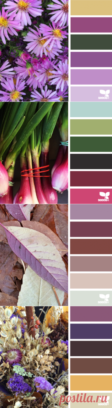 design seeds | for all who ♥ color
