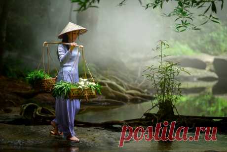 Портрет вьетнамских девушек с Ao Dai, традиционное платье во Вьетнаме от somchai sanvongchaiya / 500px