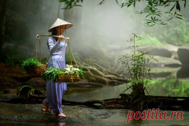 Портрет вьетнамских девушек с Ao Dai, традиционное платье во Вьетнаме от somchai sanvongchaiya / 500px