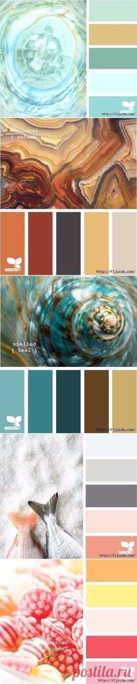 Гармония цвета: лучшие color-решения для интерьера - Дизайн интерьеров | Идеи вашего дома | Lodgers