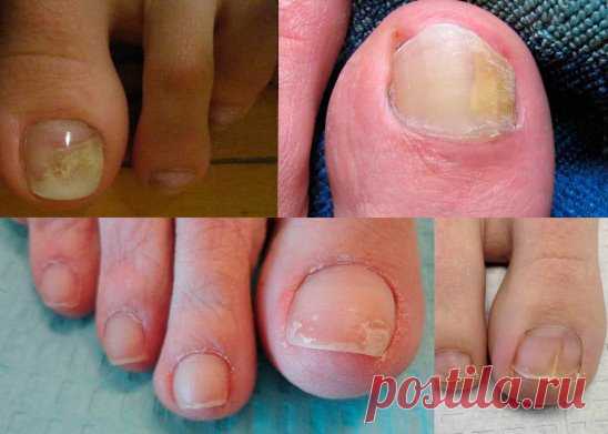 Одноклассники