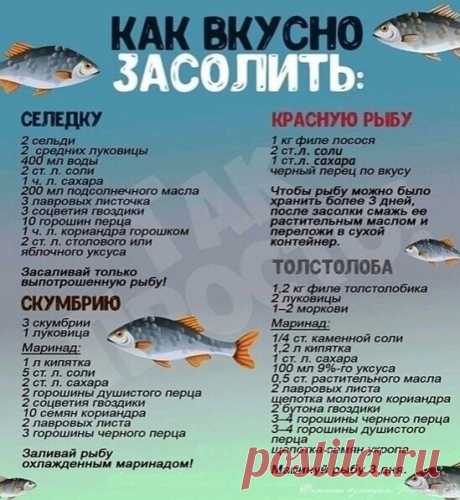 Как засолить селедку, скумбрию, красную рыбу