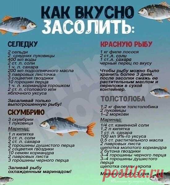 Как засолить селедку, скумбрию, красную рыбу