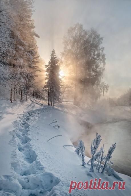 белое
