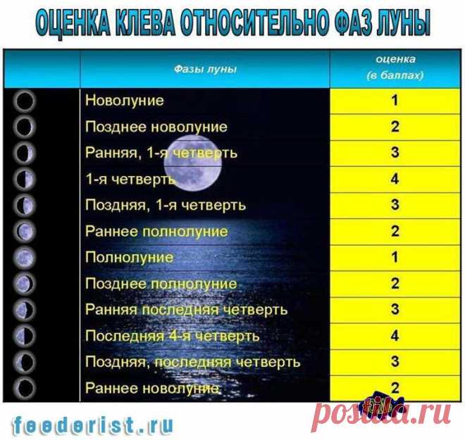 Влияние Луны на клев рыбы | НА РЫБАЛКУ !!!!