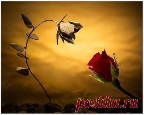 Мой Мир@Mail.Ru