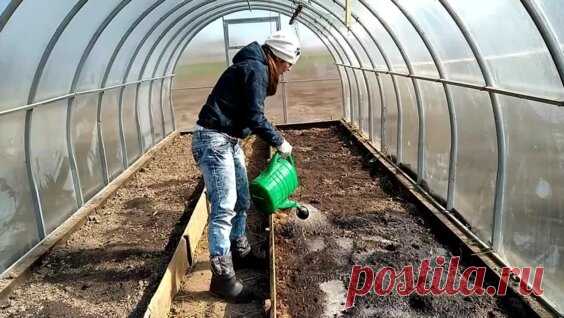 Что обязательно нужно сделать в новой теплице перед высадкой культур - Яндекс.Видео
