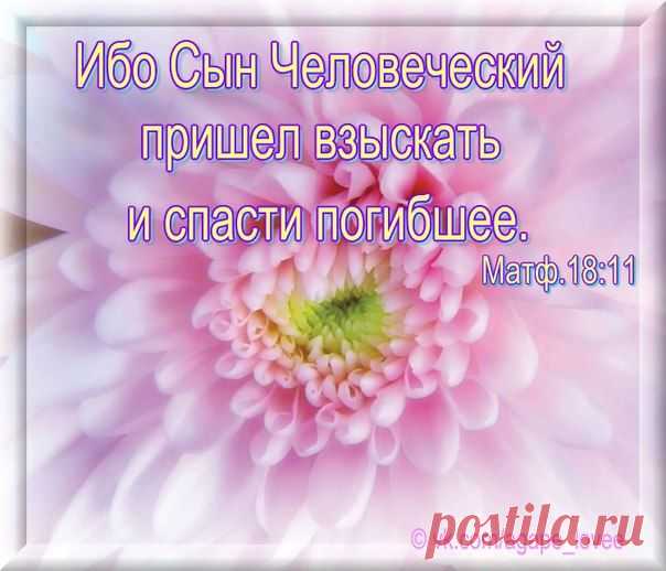 ♥...Агапэ...♥