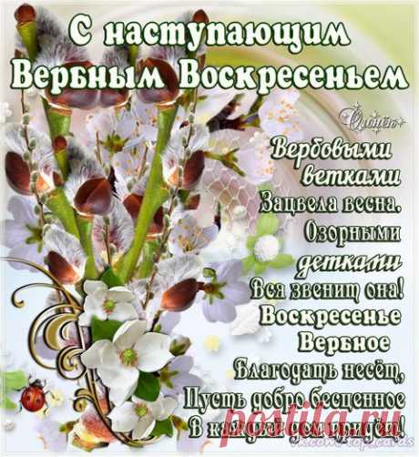 С наступающим Вербным Воскресеньем! Пусть весенняя веточка вербы станет символом чистоты твоих помыслов и искренней веры. Как она стремится ввысь, к солнцу, пусть точно так же твоя жизнь стремится к благому обновлению, успехам и взлётам.
Посвятите в церкви вербу,
Похлестайте по бокам.
И здоровья и удача
Непременно придут к вам.
В день такой хочу смирения,
Доброты вам пожелать.
Птицу счастья и удачи
Вам желаю я поймать.
Пусть семья крепчает только,
Будет в доме пусть уют.
