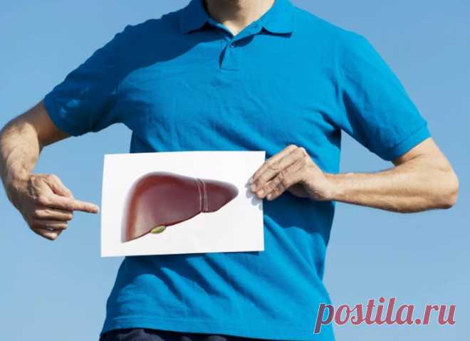 Ученые нашли простой способ защитить печень от цирроза | ЗОЖ | MedikForum.ru