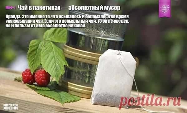 Мифы о чае | Страна Полезных Советов