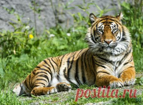 Василий Тимошин vasiliy-timoshin (Vasilek), Москва, Россия на Мой Мир@Mail.RU