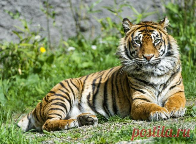 Василий Тимошин vasiliy-timoshin (Vasilek), Москва, Россия на Мой Мир@Mail.RU