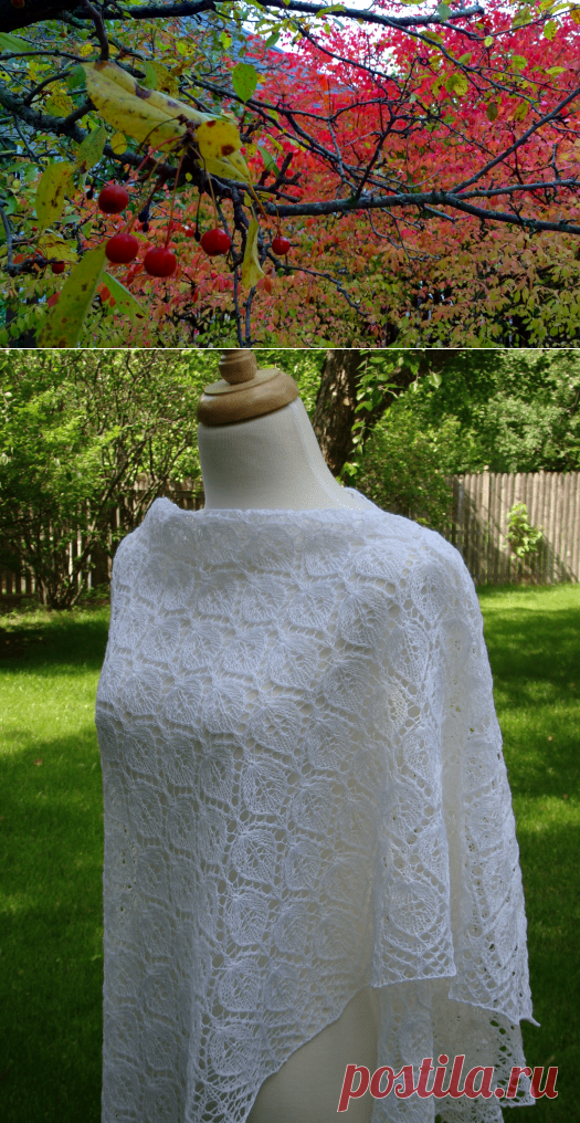 shawl Tilija (шаль Тилия)