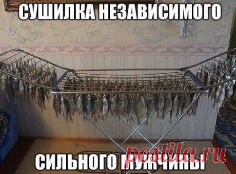 Смешные картинки с надписями