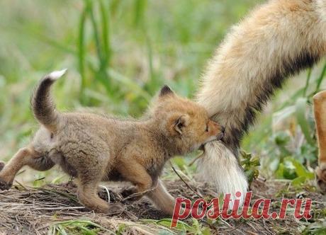 Мой Мир@Mail.Ru