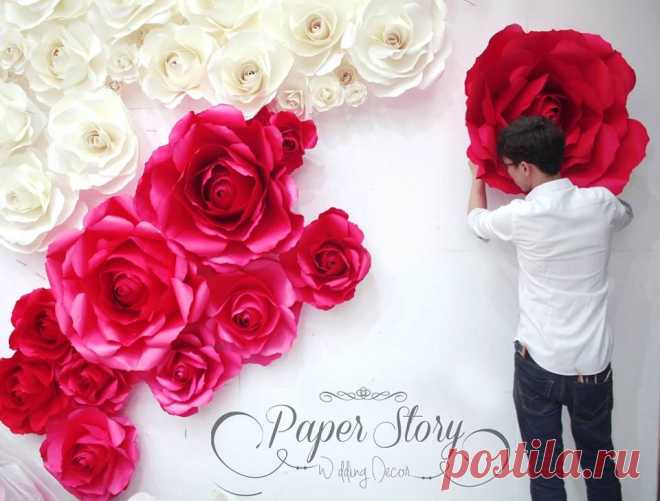 (102) Paperstory