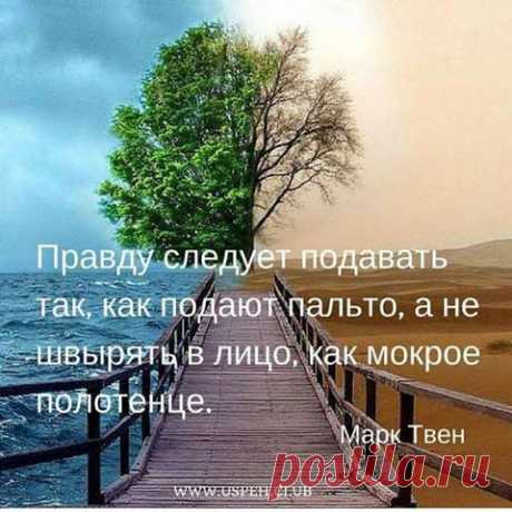(55) Facebook