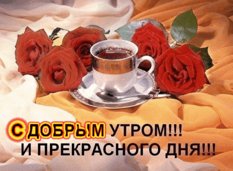 Доброго утра и хорошего дня!
