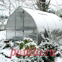 7-мь мероприятий которые нужно сделать еще зимой в теплице   [ad name=