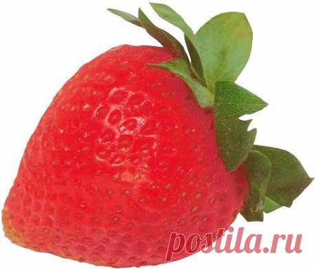 клипарт «дары природы